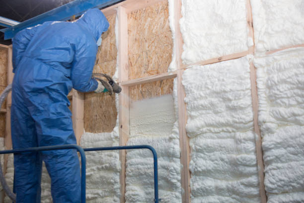 Types of Insulation We Offer in Shepherdsville, KY